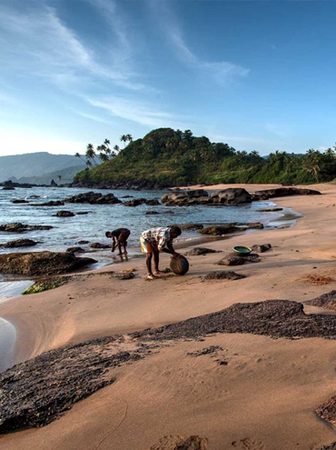 North Goa vs South Goa: Which is Better for Your Trip?