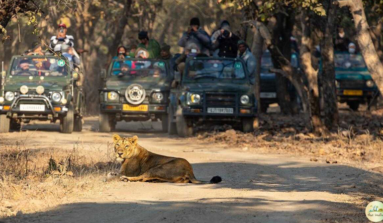 Gir National Park