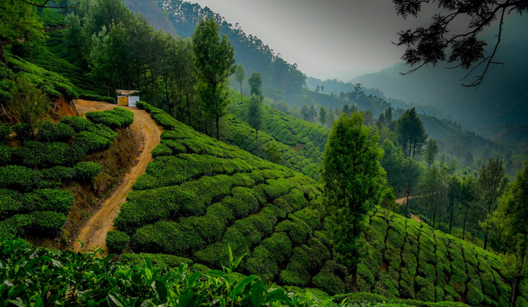 Munnar