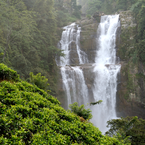 Sri Lanka Tour